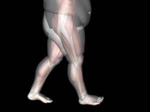 Obesity May Cause Daily Activities to Change